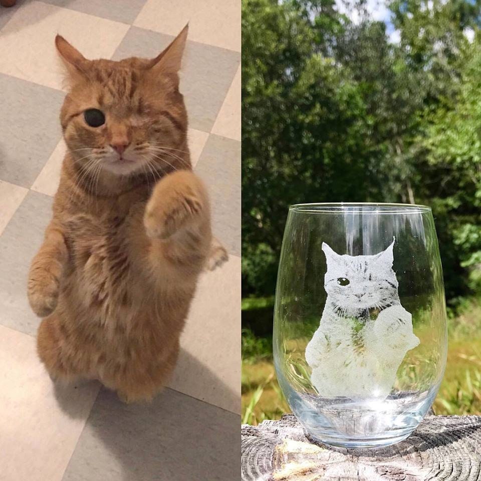 Pet Photo Engraved wine glass, Engraved Whiskey glass, Custom Pet picture, Pet memorial Engraved Glass, Pet photo on glass