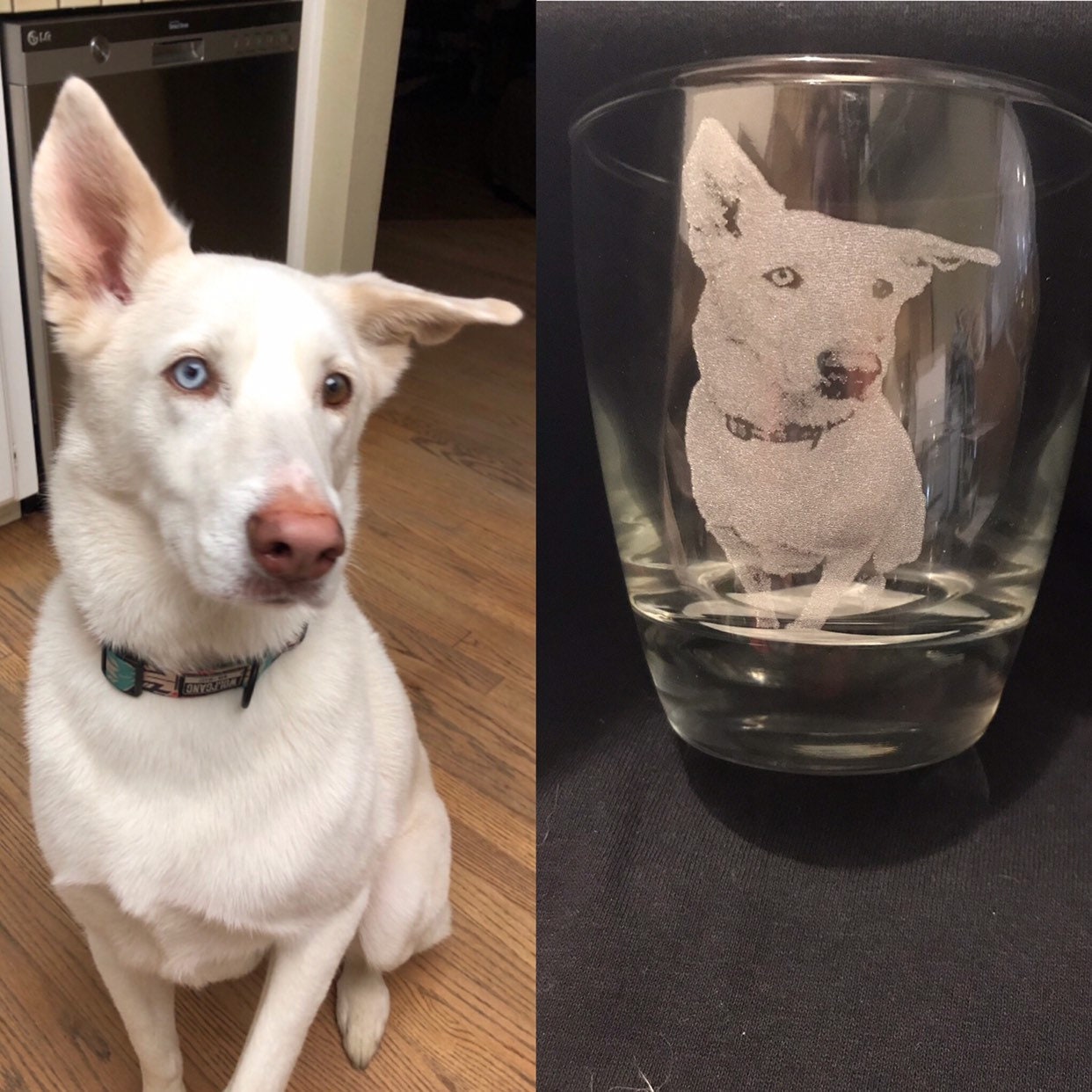 Pet Photo Engraved wine glass, Gift, Engraved Whiskey glass, Custom Pet picture, Pet memorial Engraved Glass, Pet photo on glass