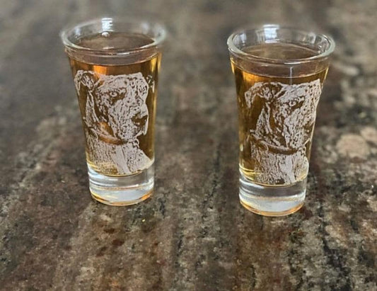 Custom Shot glass set, photo engraved shot glass, Pet engraved picture, Pet memorial Engraved Glass,Pet photo on glass