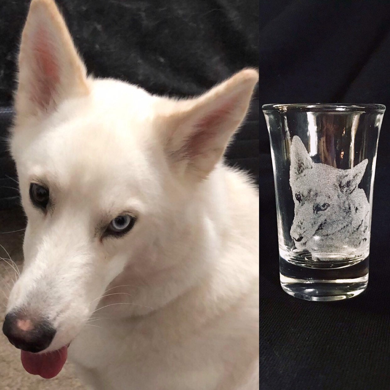 Custom Shot glass set, photo engraved shot glass, Pet engraved picture, Pet memorial Engraved Glass,Pet photo on glass