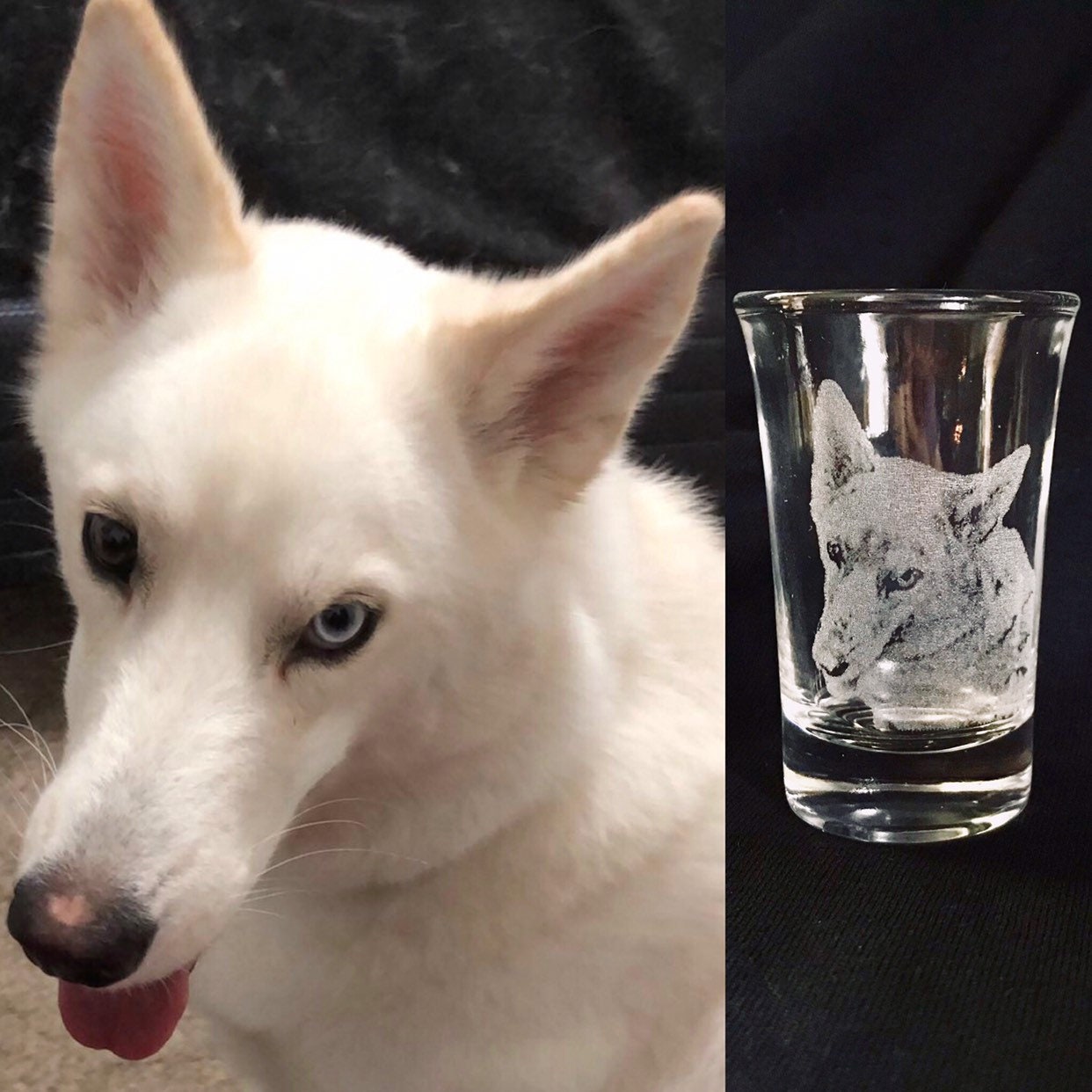 Custom Shot glass set, photo engraved shot glass, Pet engraved picture,Pet memorial Engraved Glass,Pet photo on glass