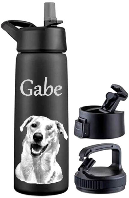 Custom, photo engraved water bottle Powder Coated Stainless Steel Vacuum Insulated Double Wall with Lid