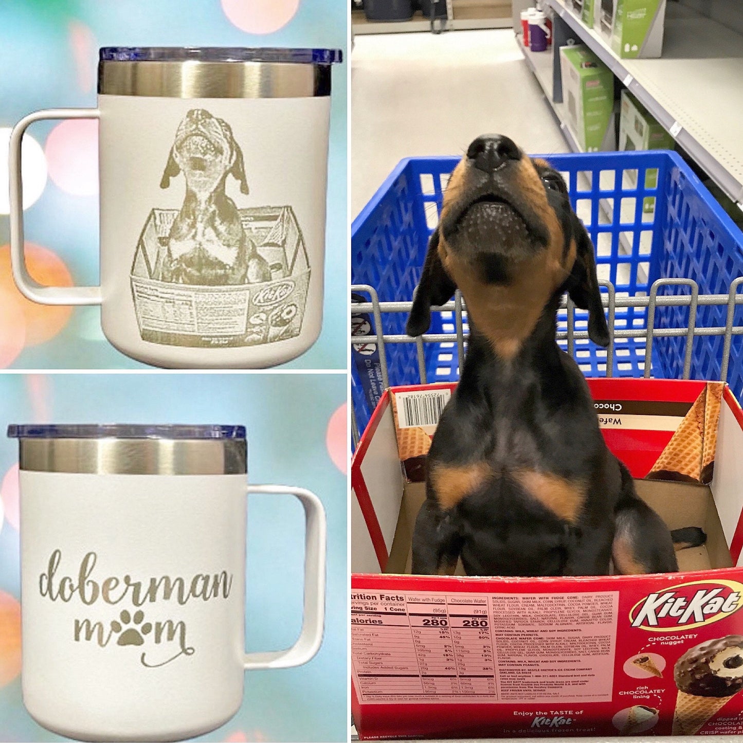 Custom, photo engraved Stainless Steel Tumbler, with Lid, 12oz Coffee travel Powder Coated tumbler