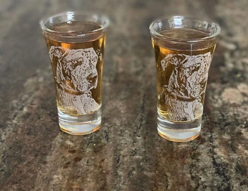 Custom Shot glass set, photo engraved shot glass, Pet engraved picture,Pet memorial Engraved Glass,Pet photo on glass
